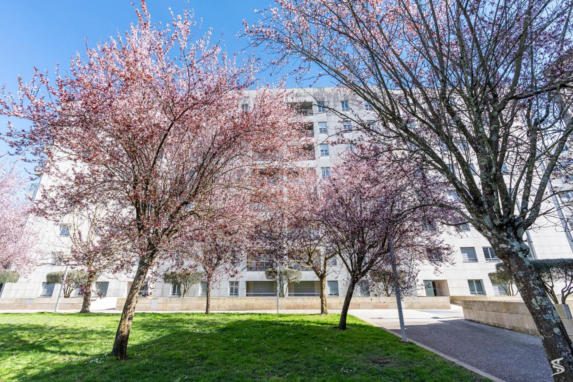 Cedofeita Sunny Apartment - Balcony & Parking Porto Luaran gambar